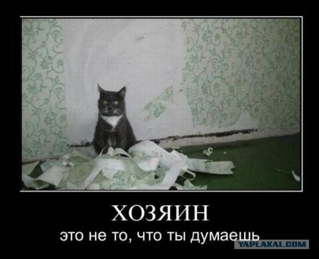 Картинки из сети на понедельник