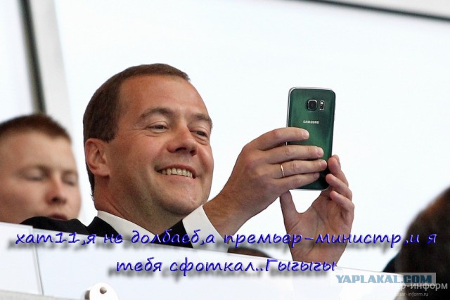 Медведев ограничит численность скота у населения