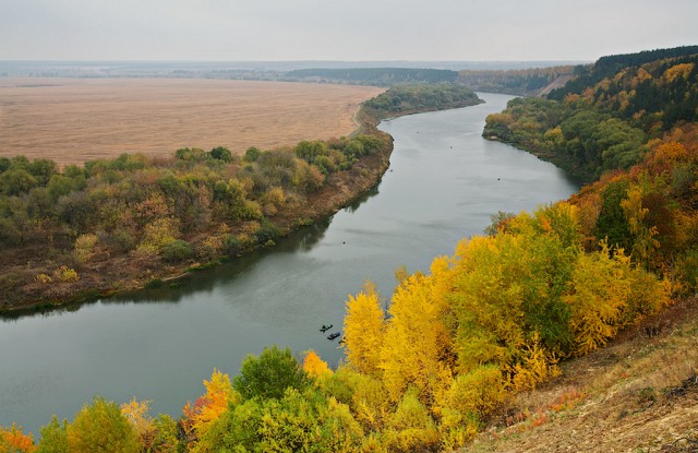 Новый виток травли Михаила Шолохова