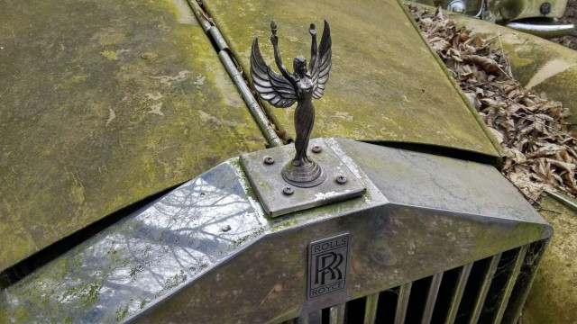 Неандерталь автомобильный