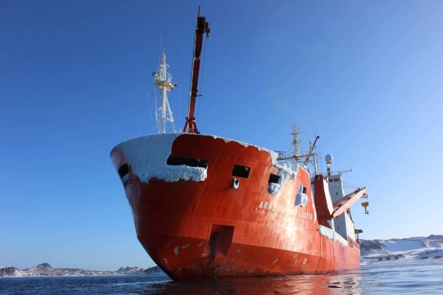 Полтора года зимы