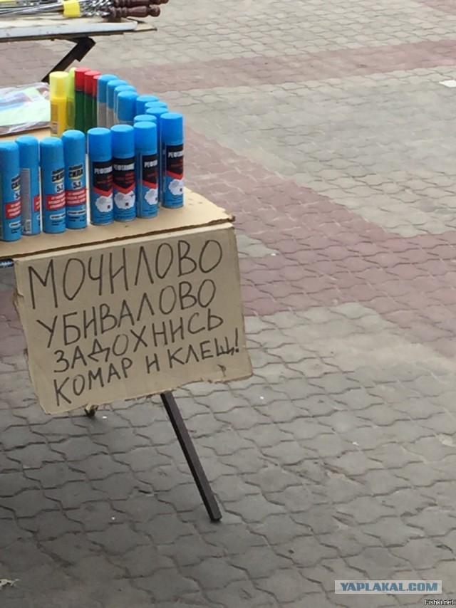 Весёлые картинки для настроения