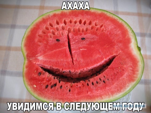 32 картинки с надписями.