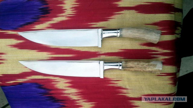 Продам Пчаки
