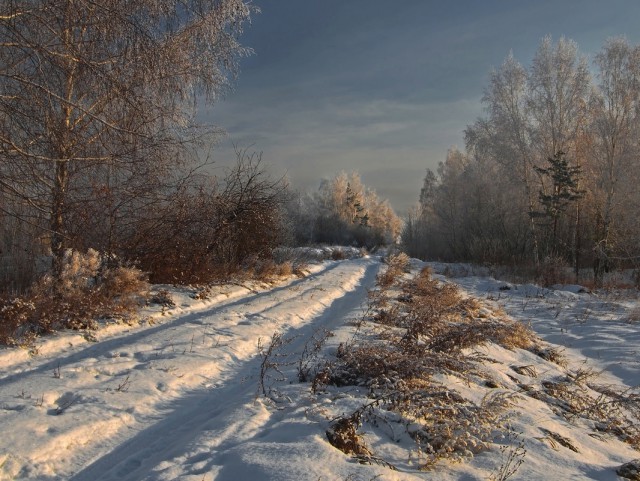 Моменты, запечатлённые на фото и просто позитив 5