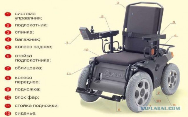 Жизнь как она есть 2