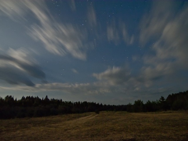 Несколько летних дней на Мологе. Фотоподборка.