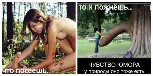 Ужасы и приколы из соцсетей