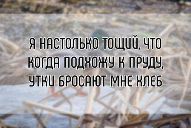 Очередная подборка ненормального школьного юмора