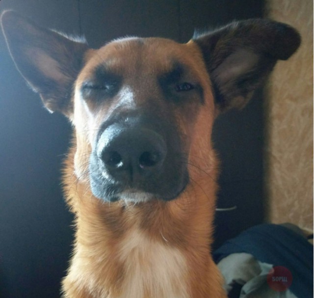 Немного картинок