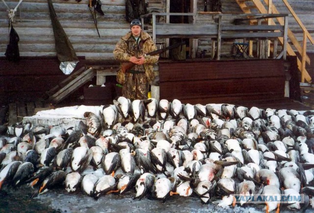 Мужчина наловил 45 килограммов рыбы на 5000 рублей, а потом попытался уйти от погони ГАИ