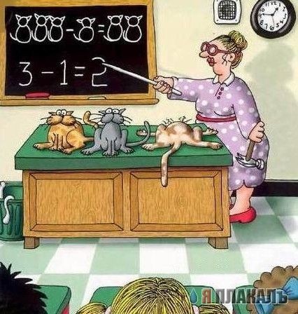Училка по котоведению
