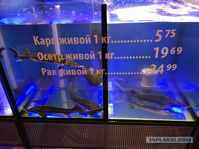 Как я опять съездил на Западную Украину (НГ 2018)