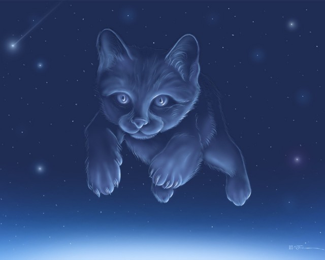 Котейкин вторник! Космический 12.04!