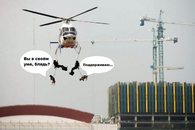 Мир никогда не перестанет нас удивлять, и вот очередная порция доказательств