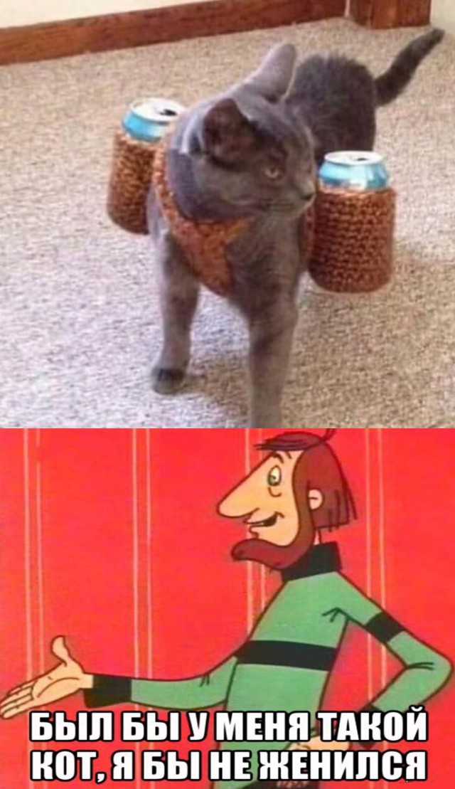 Нестандартный юмор