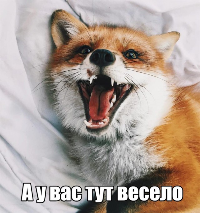 Женские откровения о неудачных свиданиях
