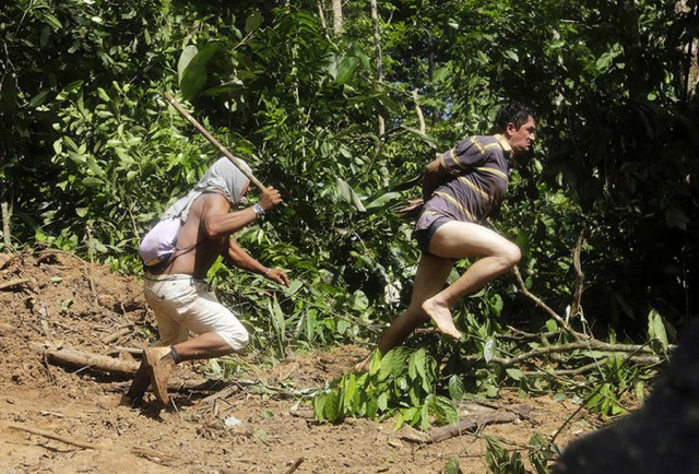 Лук и стрелы. Как жители джунглей Амазонки воюют с черными лесорубами
