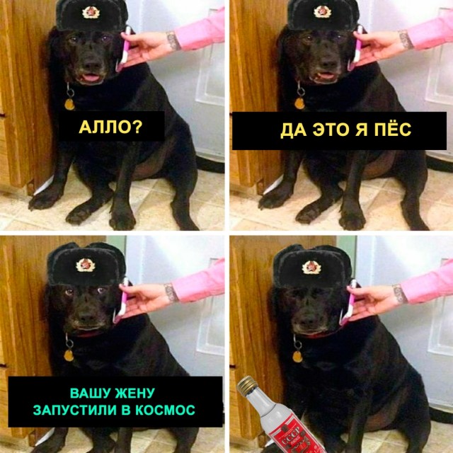Немного истории