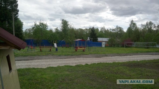 Хорошо в деревне весной! Прогулка по весеннему саду