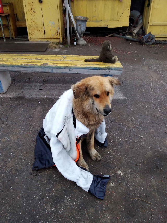 Давайте делиться фотками прошедшего дня