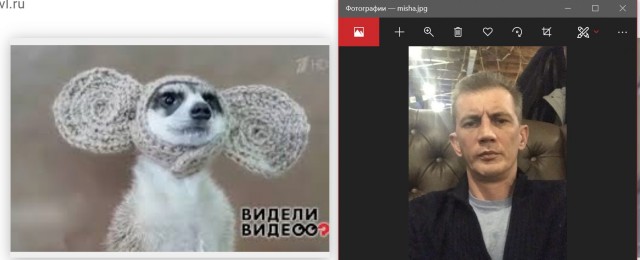 О жадных мужчинах. Или умных? (Немного мата)