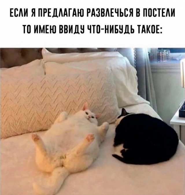 Юмор в картинках 7.11.20