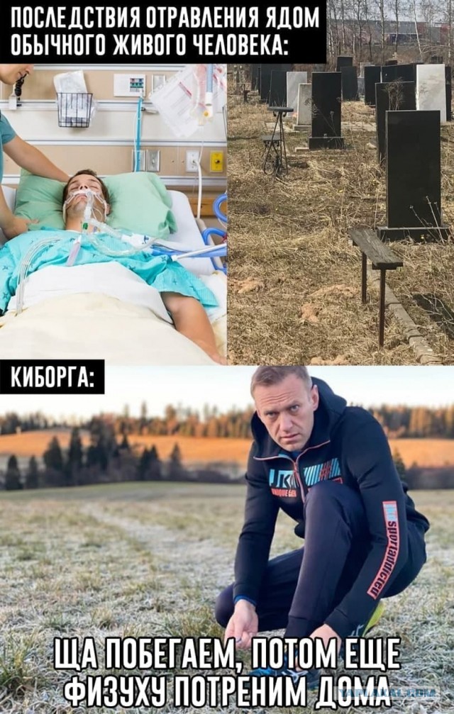 Навальный: РосПил в действии