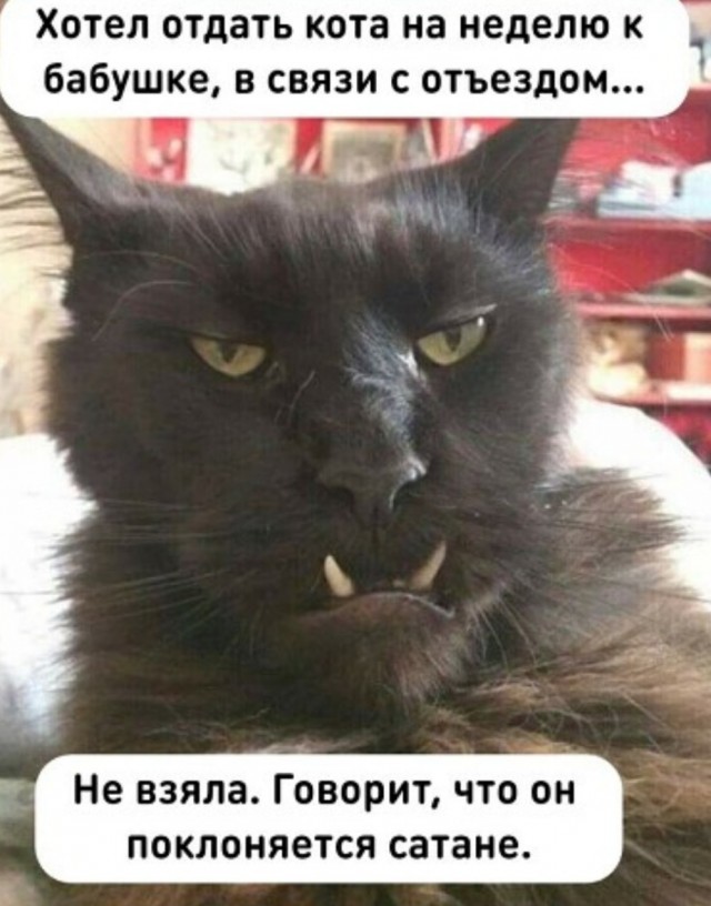 Огромный и злобный хищник напал на женщину и заживо её поедает!