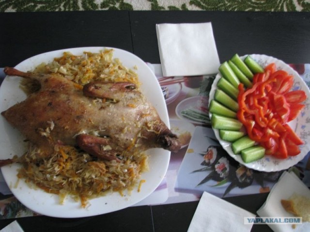 Утка по Дженибековски