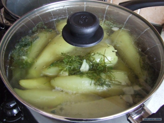 Очень кушать хочется.