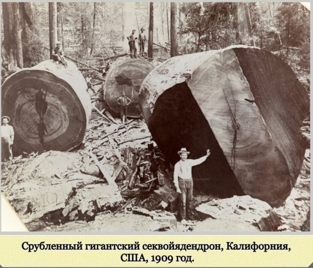 Фотографии с богатым историческим прошлым