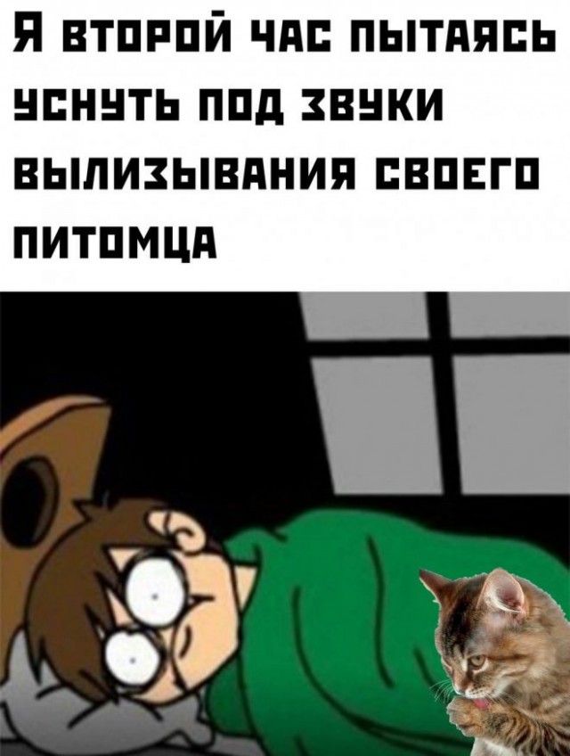 Картинки и мемы для настроения - 27