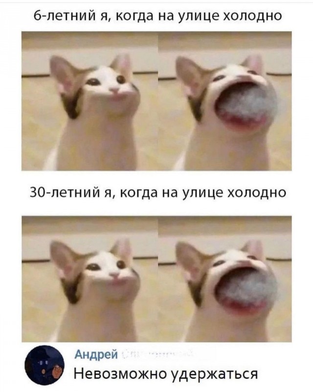 Картинки аморальные и всякие разные - 37