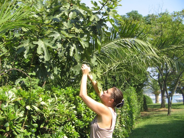 Отдых в Черногории (сентябрь 2012)