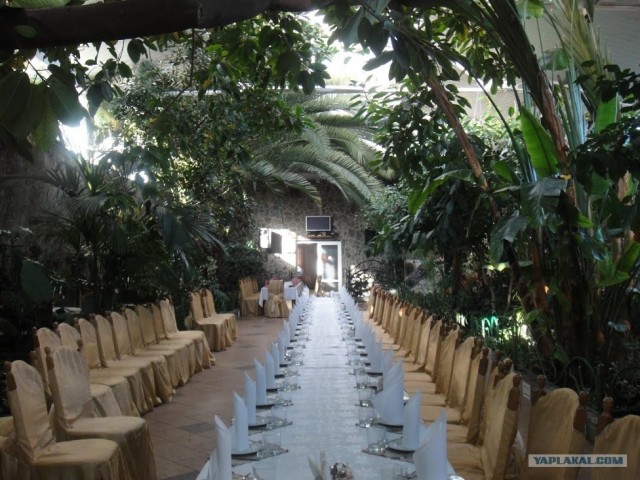 Ураина и украинцы глазами русских.