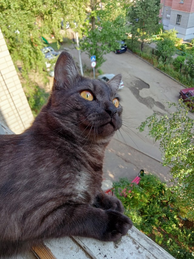 Котовторник 18.10.22