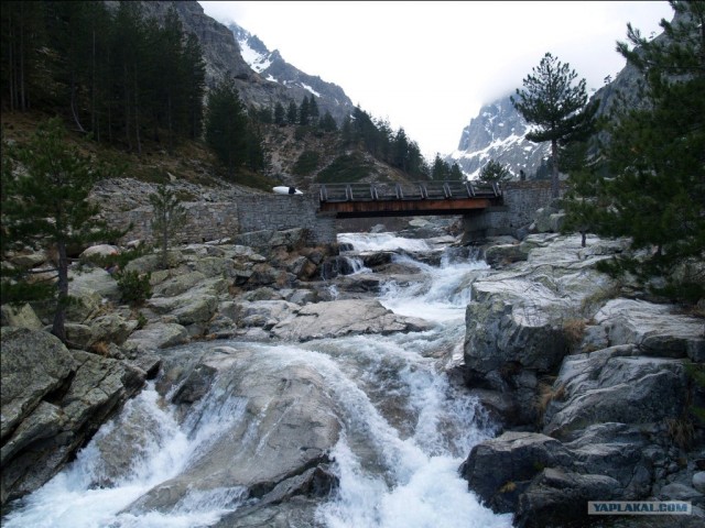 Франция. Корсика.