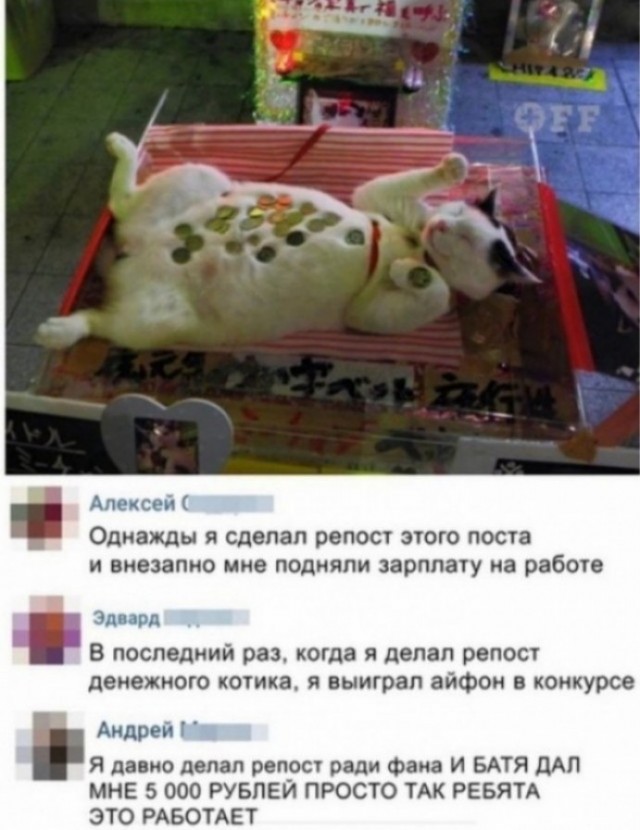 Скриншоты и комментарии из социальных сетей 10.12.22