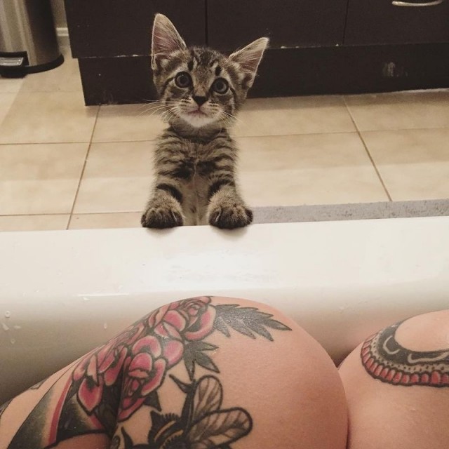 Она спасает котят