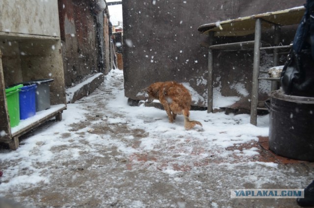 Есть еще добрые люди…