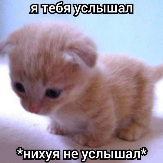 Всего понемногу. От 12.04.2024