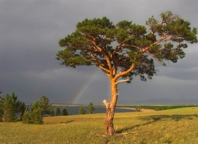 ФотоВинегрет