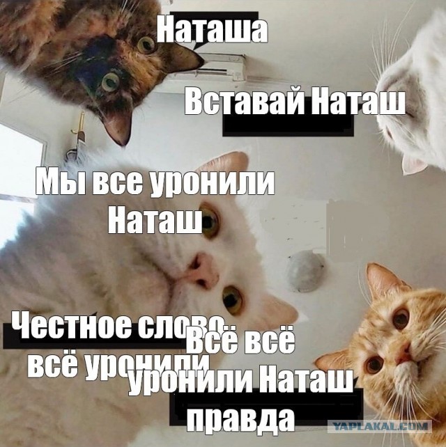 Начинаем день с Наташи