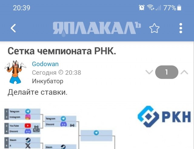 Сетка чемпионата РКН.