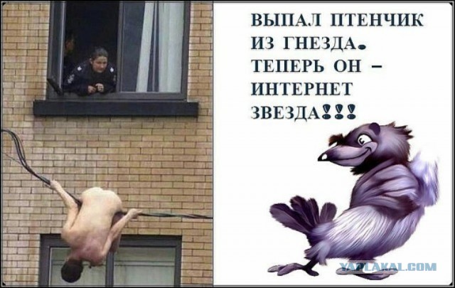 Вырастил себе на радость