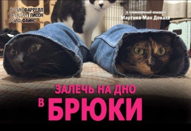 Прикольные и просто красивые картинки 21.01.2025