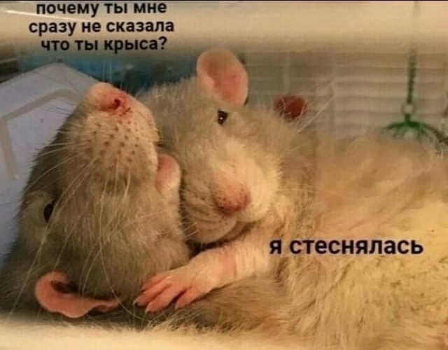 Так себе картинки 13.02.25