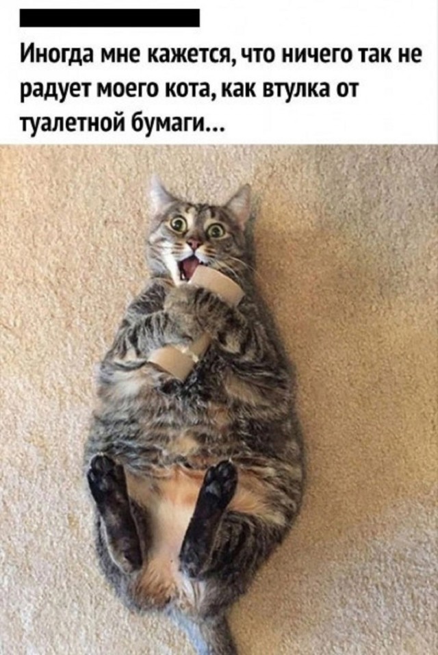 Так себе картинки 22.03.25