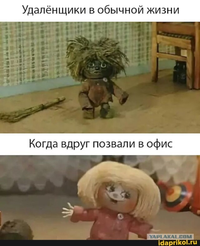 Веселые картинки в пятницу (01.08)